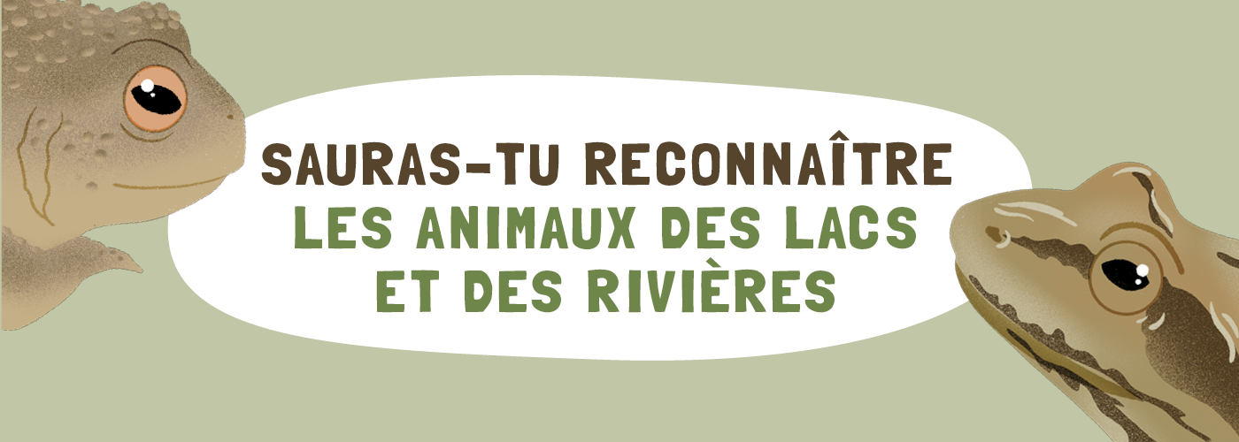 Illustration du carrousel pour le livre Finite Sauras-tu reconnaître les animaux des lac et des rivières