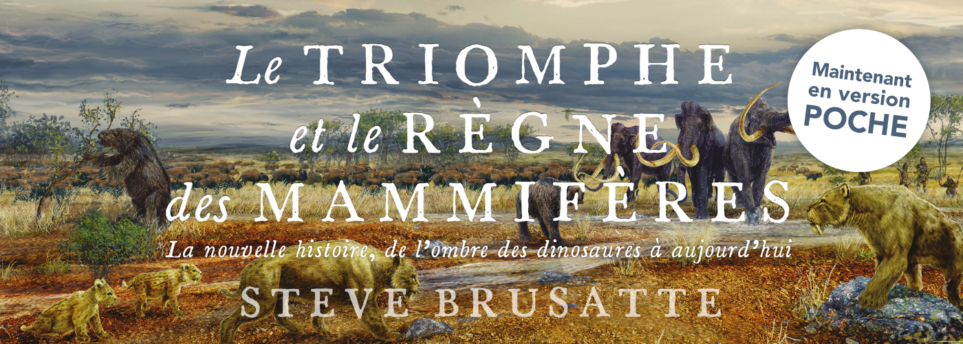 Illustration du carrousel pour le livre Le triomphe et la chute des dinosaures (poche)