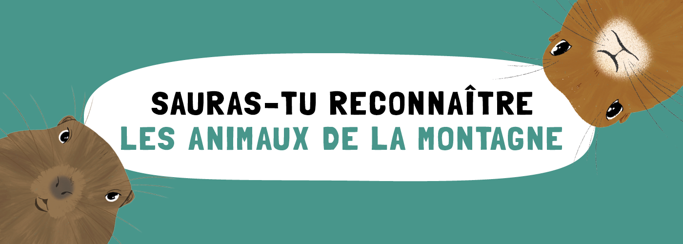 Illustration du carrousel pour le livre Sauras-tu reconnaître les animaux de la montagne