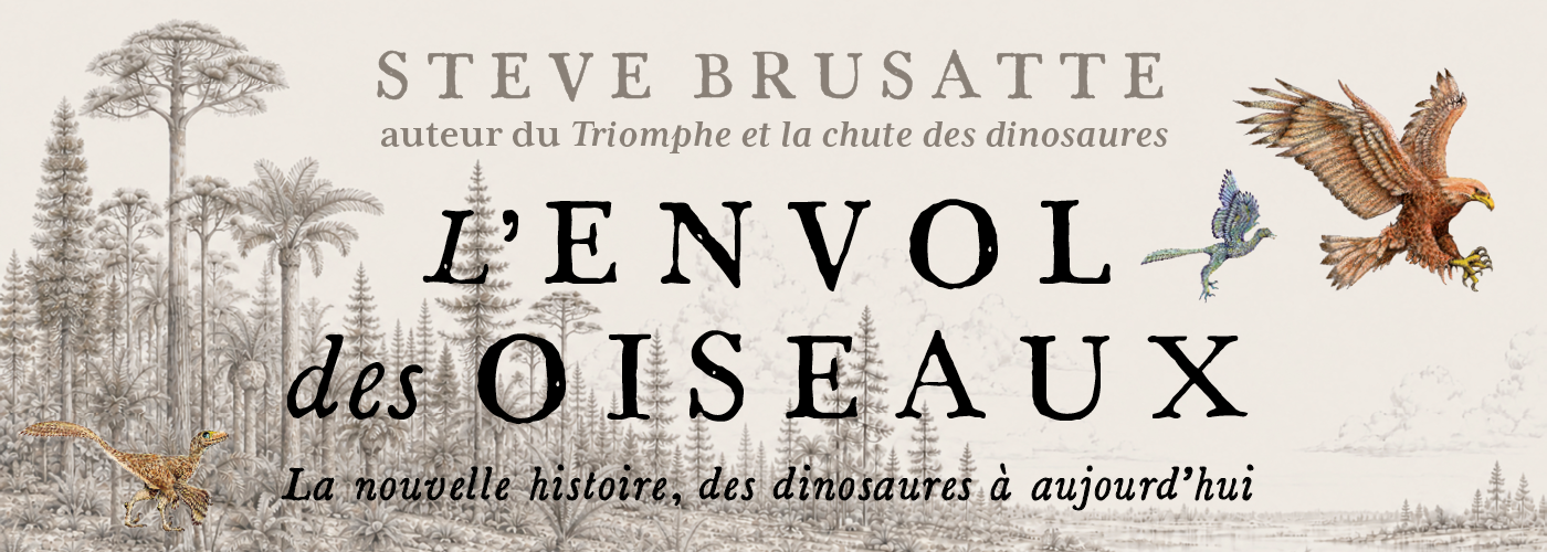 Illustration du carrousel pour le livre L'envol des oiseaux